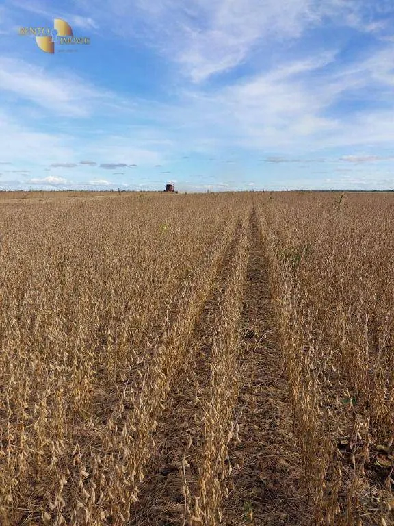 Fazenda à venda de 2.700 ha em Riachão, MA, Brasil