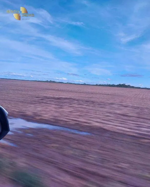 Fazenda à venda de 2.700 ha em Riachão, MA, Brasil