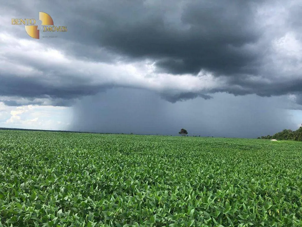 Fazenda à venda de 2.700 ha em Riachão, MA, Brasil