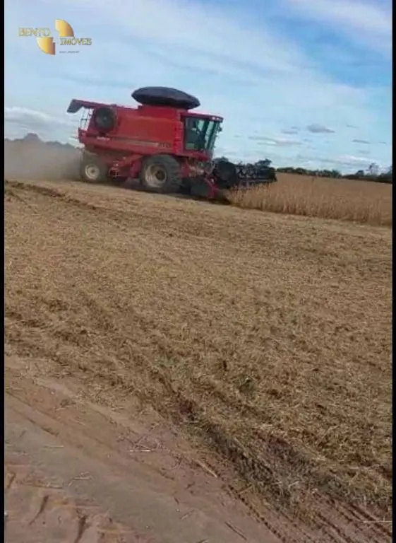 Fazenda à venda de 2.700 ha em Riachão, MA, Brasil
