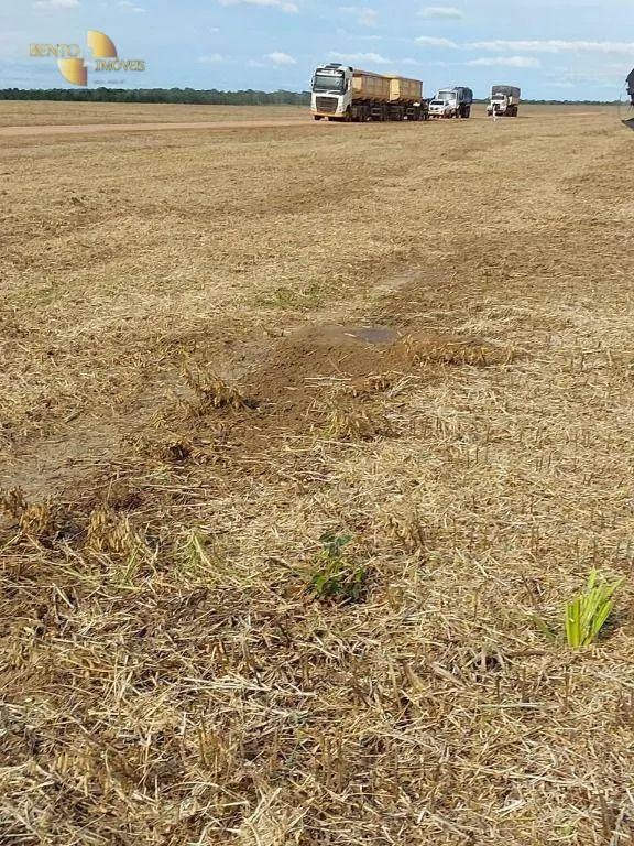 Fazenda à venda de 2.700 ha em Riachão, MA, Brasil