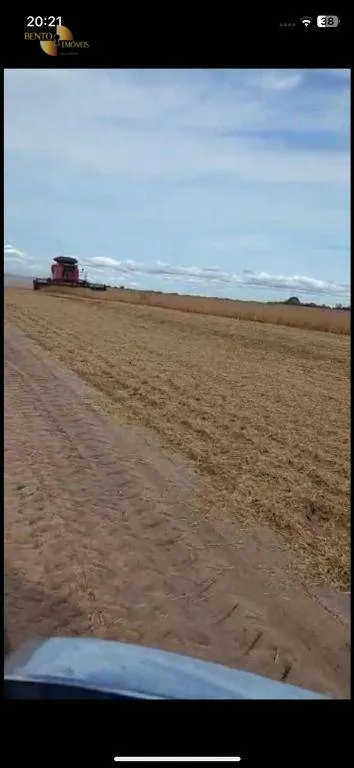 Fazenda à venda de 2.700 ha em Riachão, MA, Brasil