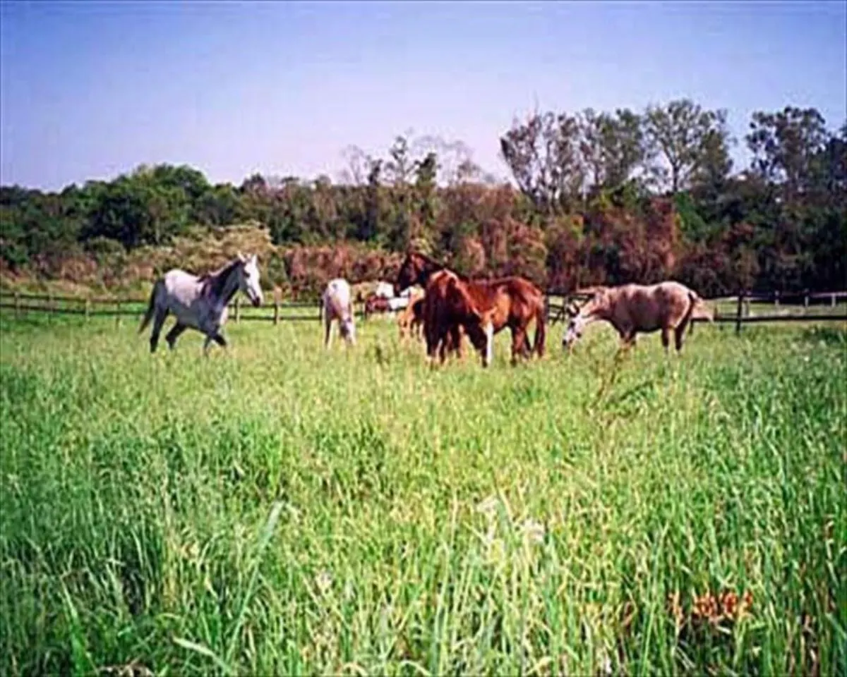 Fazenda à venda de 72.000 ha em Araçoiaba da Serra, SP, Brasil