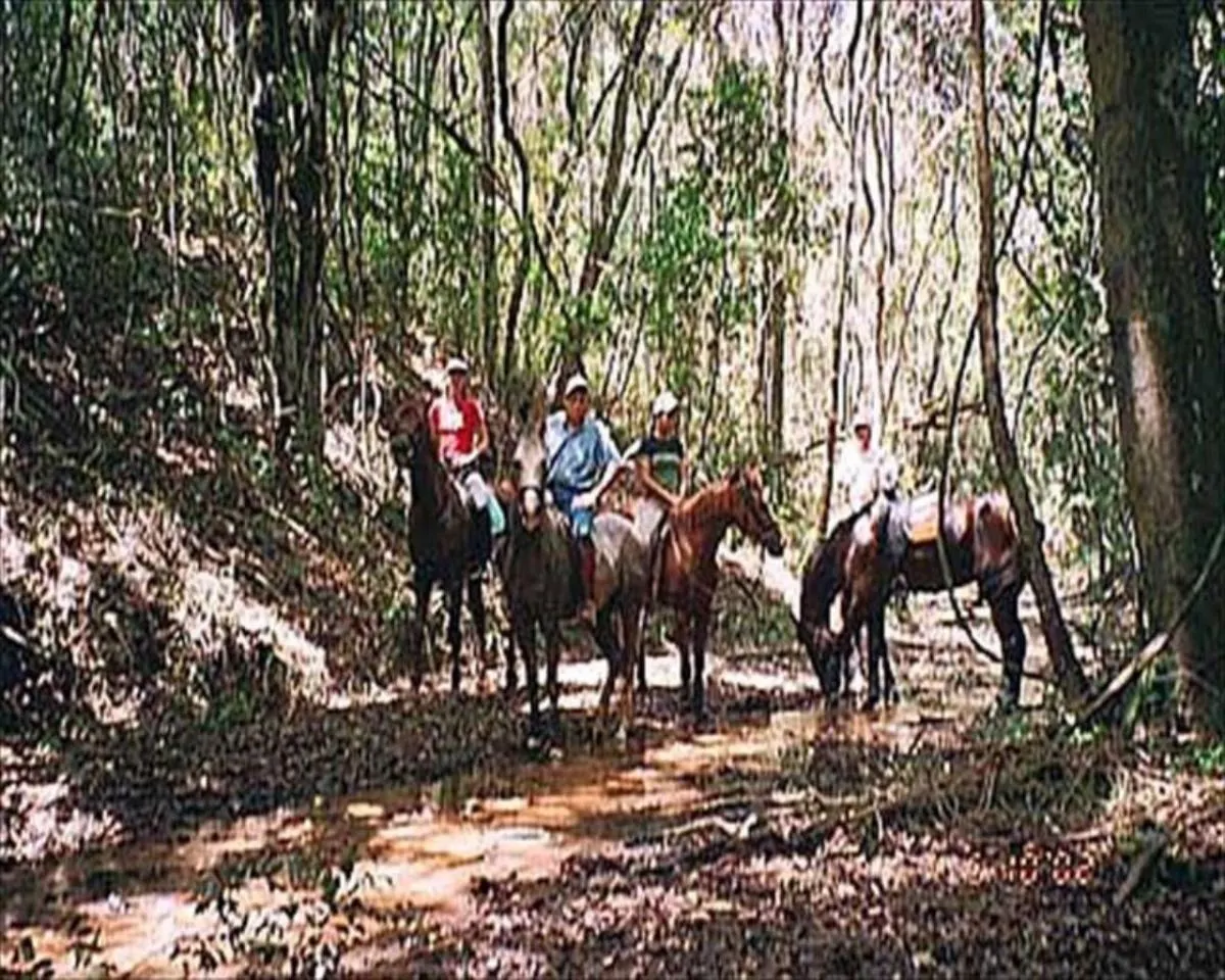Fazenda à venda de 72.000 ha em Araçoiaba da Serra, SP, Brasil