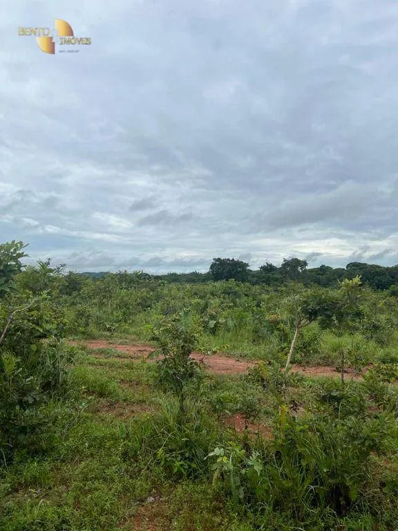 Fazenda à venda de 2.500 ha em Nobres, MT, Brasil