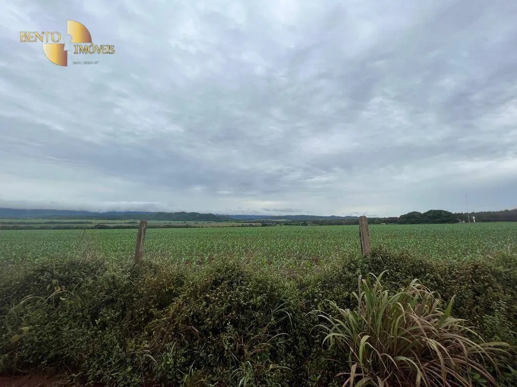 Fazenda à venda de 2.500 ha em Nobres, MT, Brasil