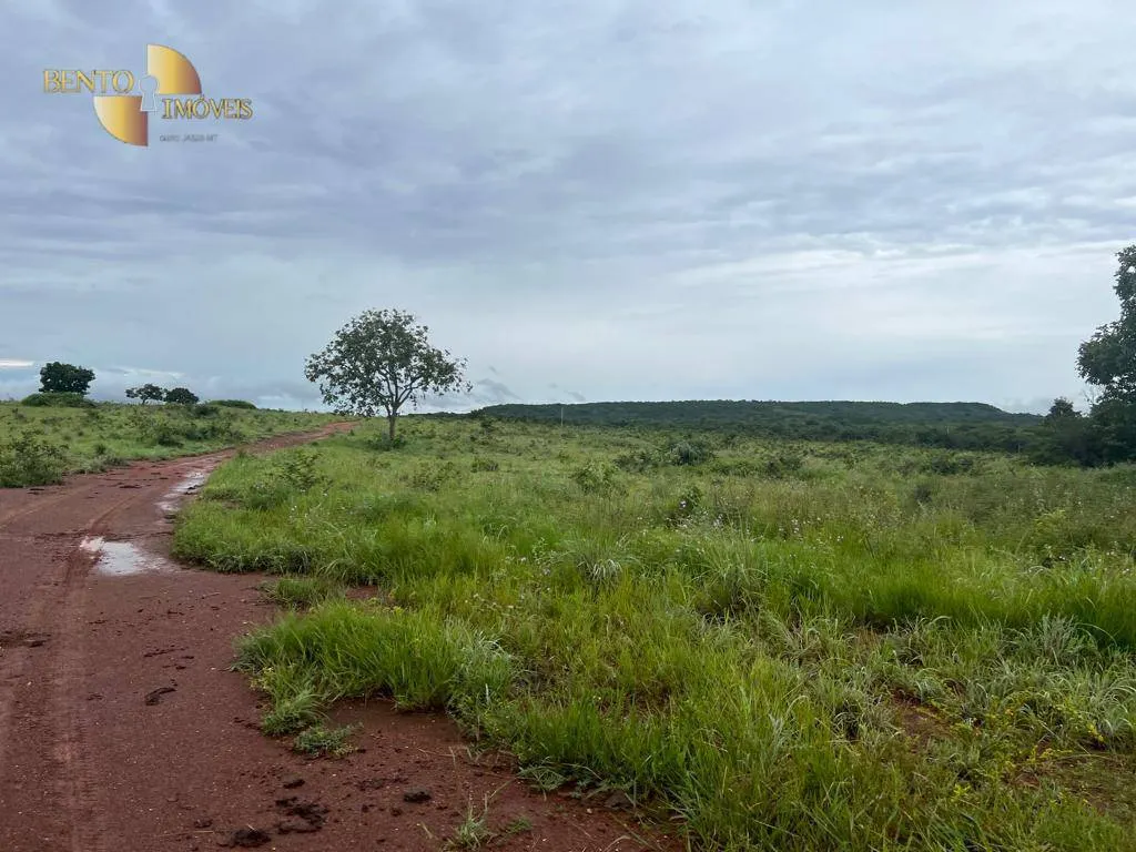 Fazenda à venda de 2.500 ha em Nobres, MT, Brasil