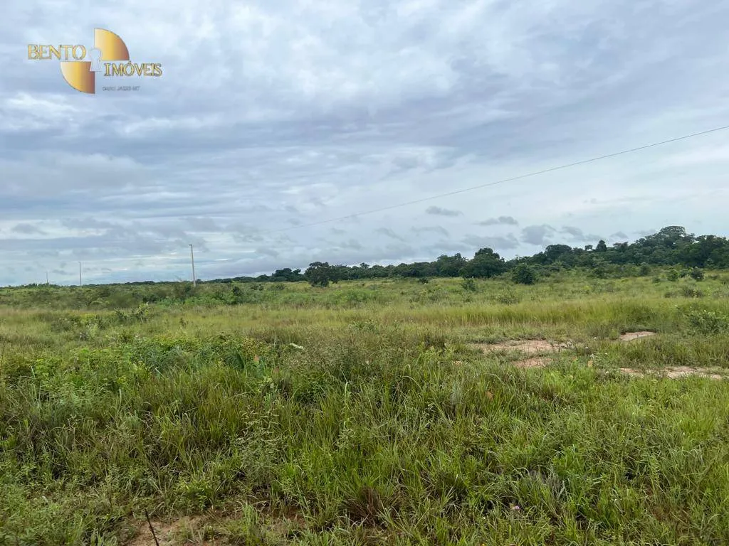 Fazenda à venda de 2.500 ha em Nobres, MT, Brasil