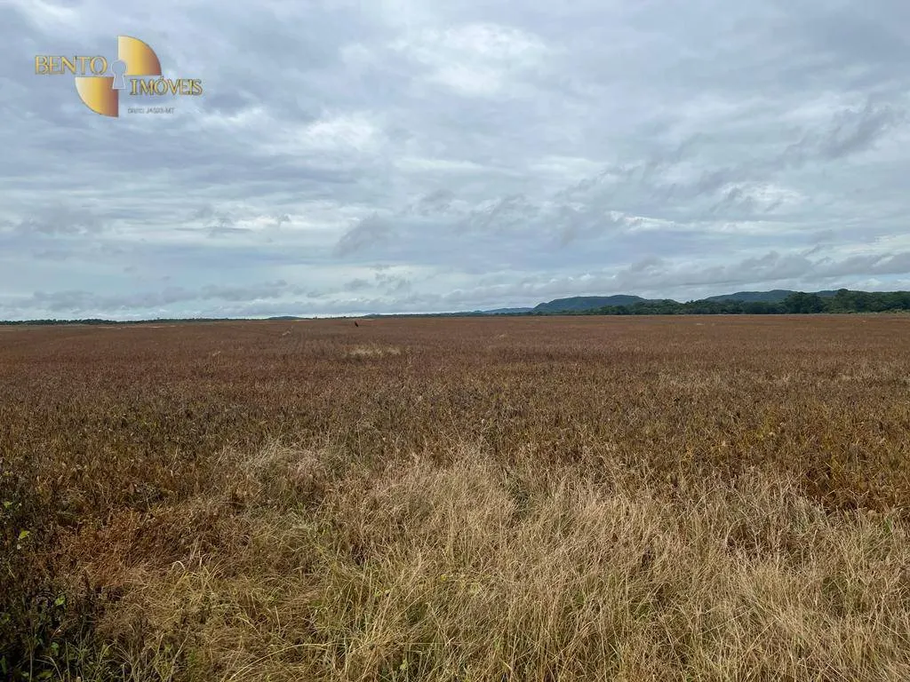 Fazenda à venda de 2.500 ha em Nobres, MT, Brasil