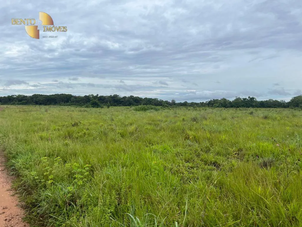 Fazenda à venda de 2.500 ha em Nobres, MT, Brasil