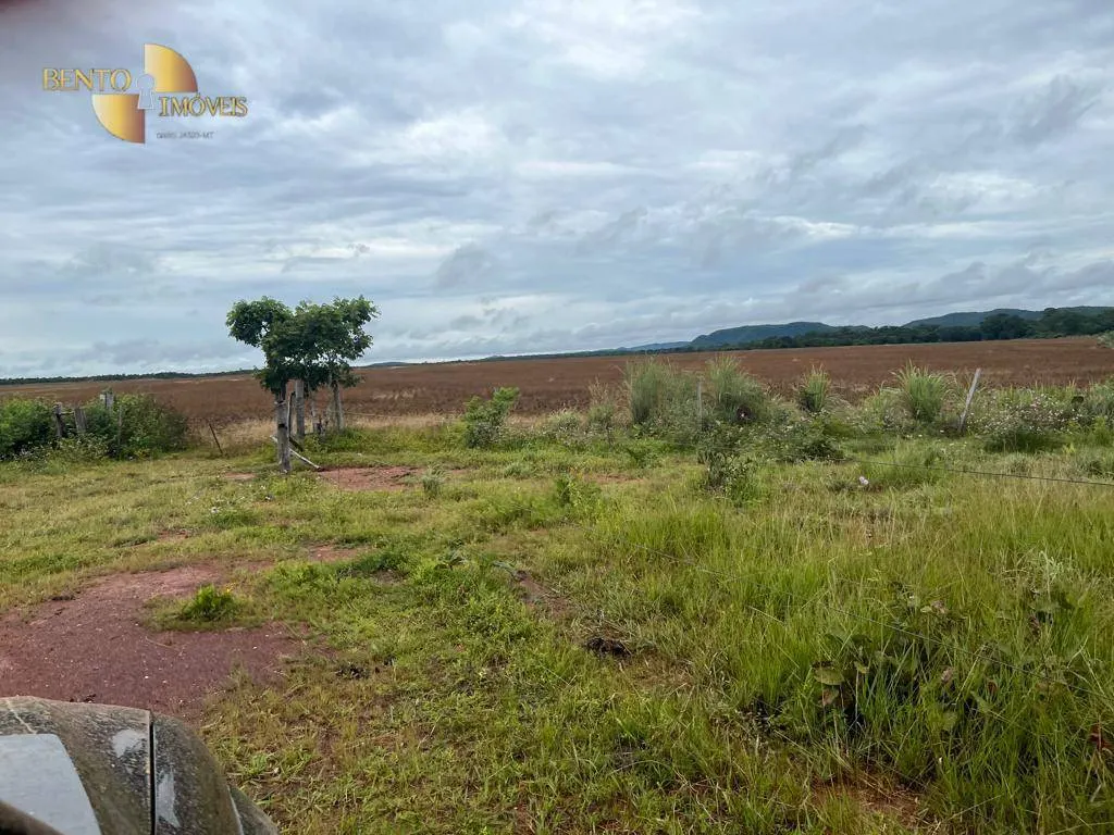 Fazenda à venda de 2.500 ha em Nobres, MT, Brasil