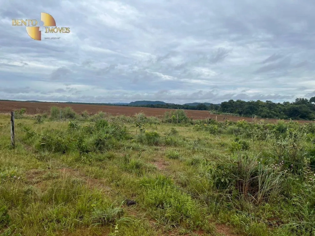 Fazenda à venda de 2.500 ha em Nobres, MT, Brasil