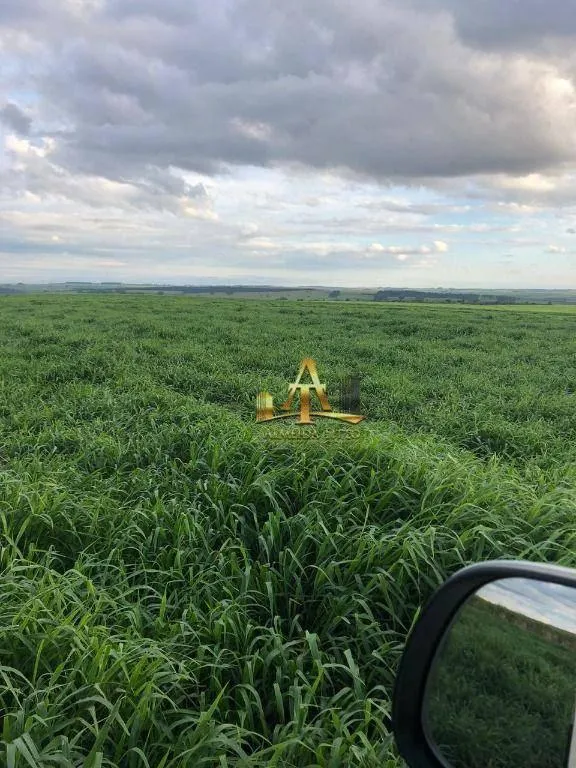 Fazenda à venda de 2.735 ha em Marília, SP, Brasil