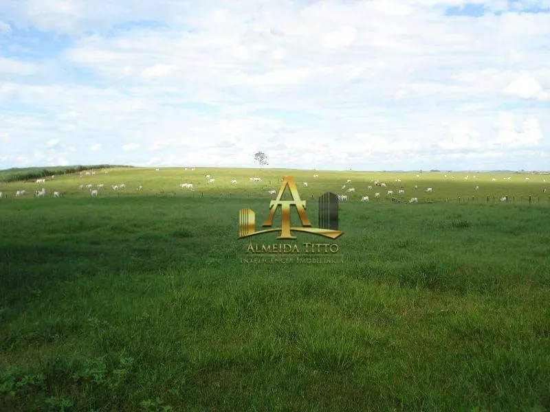 Fazenda à venda de 2.735 ha em Marília, SP, Brasil