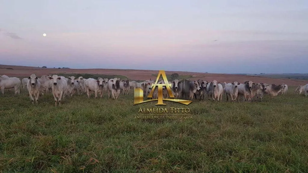 Fazenda à venda de 2.735 ha em Marília, SP, Brasil