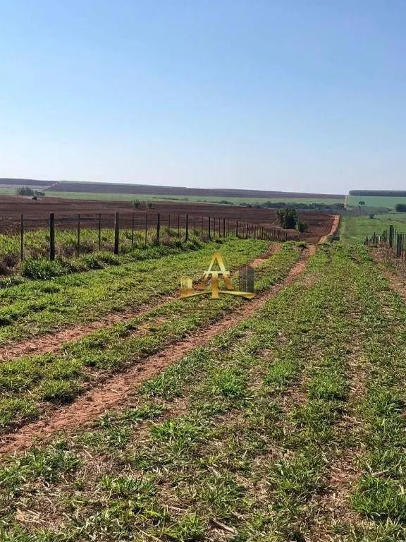 Fazenda à venda de 2.735 ha em Marília, SP, Brasil
