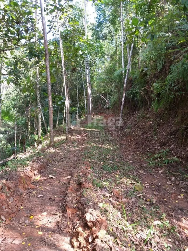 Plot for sale of 17 acres in Nova Trento, SC, Brazil