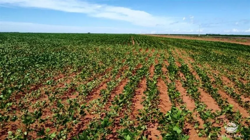 Fazenda à venda de 1.200 ha em Paranatinga, MT, Brasil