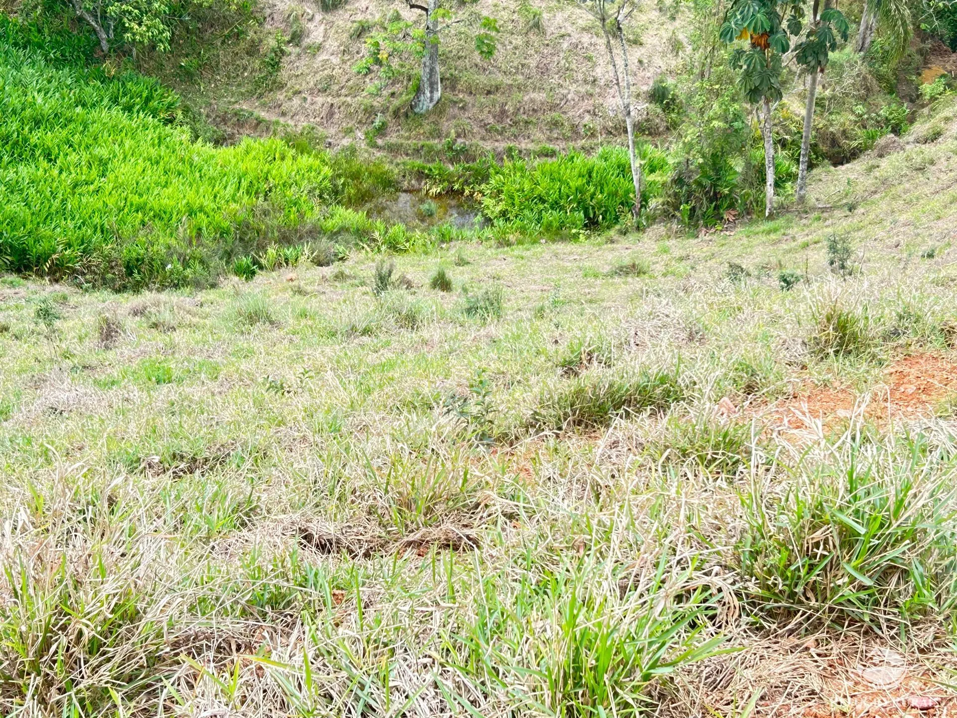Plot for sale of 5 acres in São José dos Campos, SP, Brazil