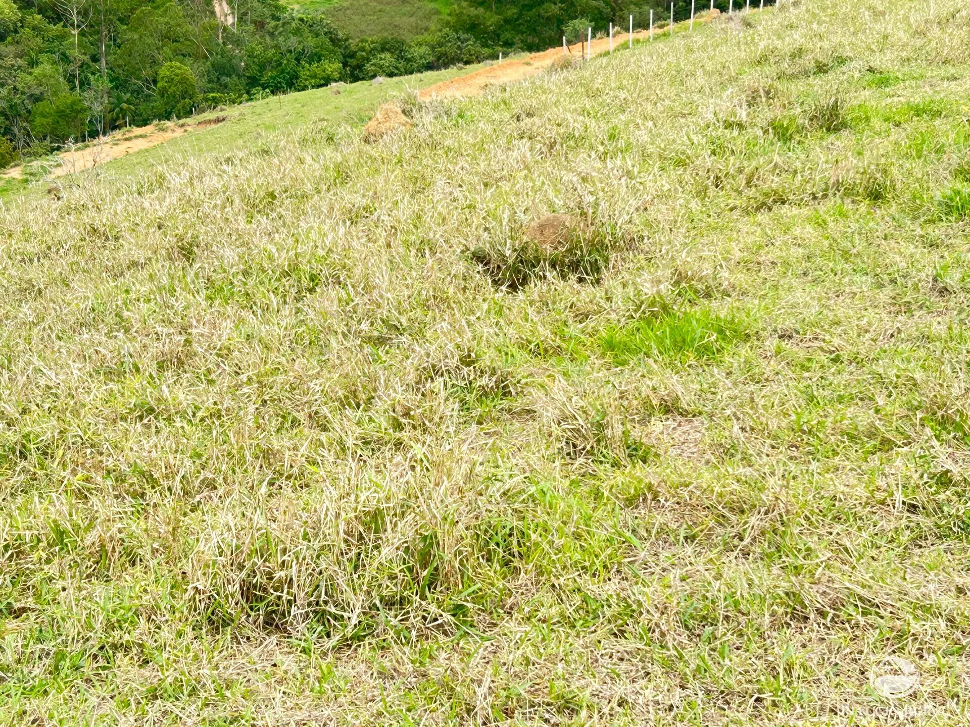 Plot for sale of 5 acres in São José dos Campos, SP, Brazil