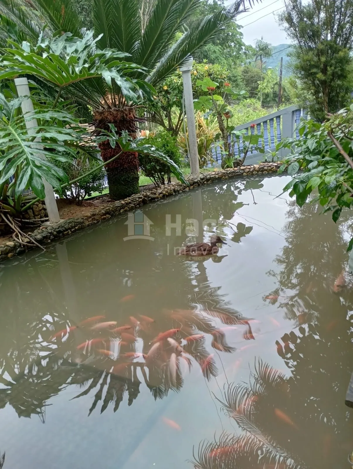 Chácara à venda de 5.180 m² em Blumenau, SC, Brasil