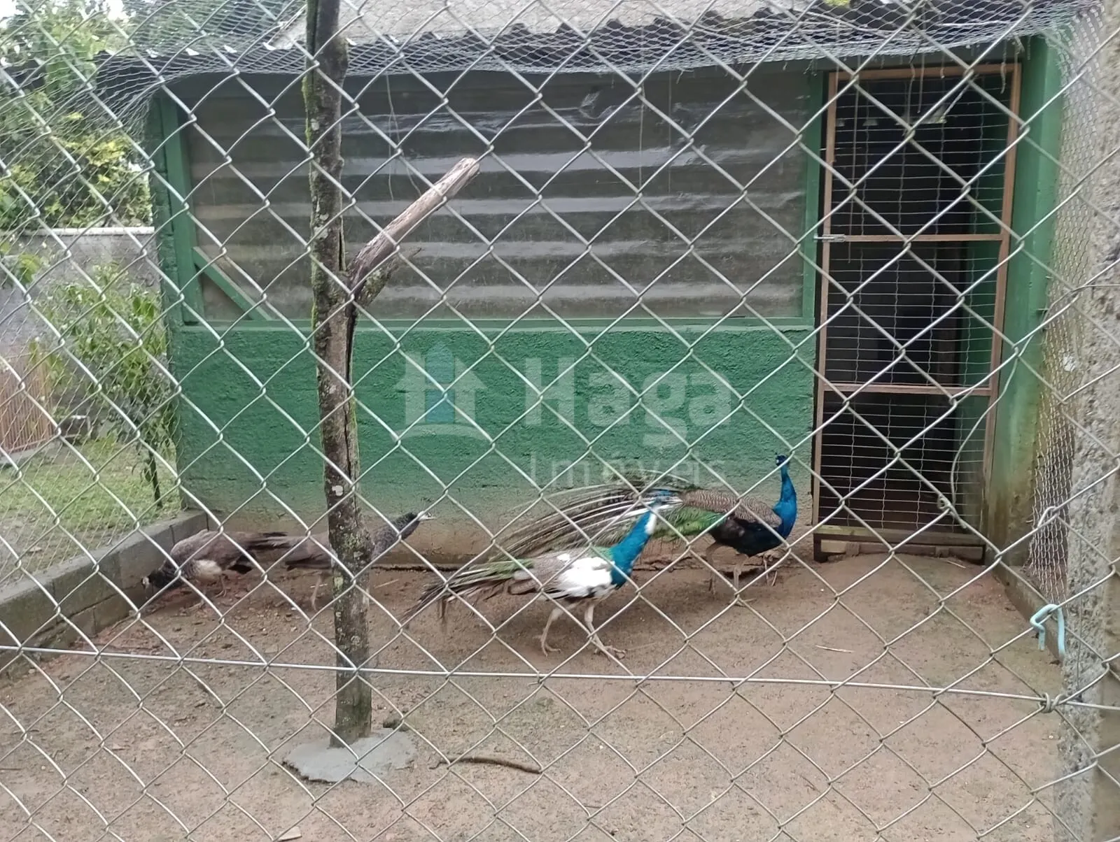 Country home for sale of 1 acres in Blumenau, SC, Brazil