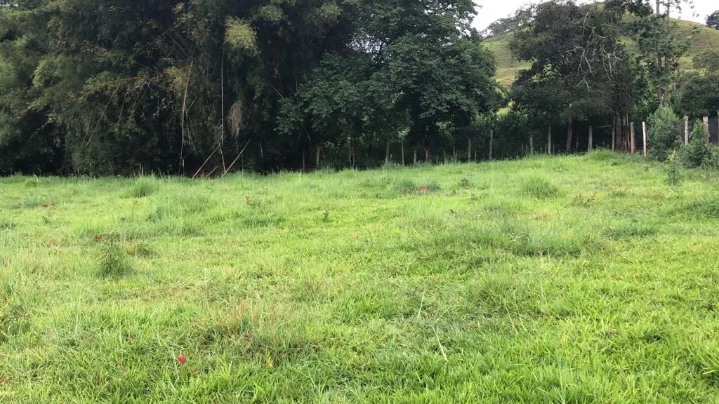 Plot for sale of 3,600 m² in Congonhal, MG, Brazil