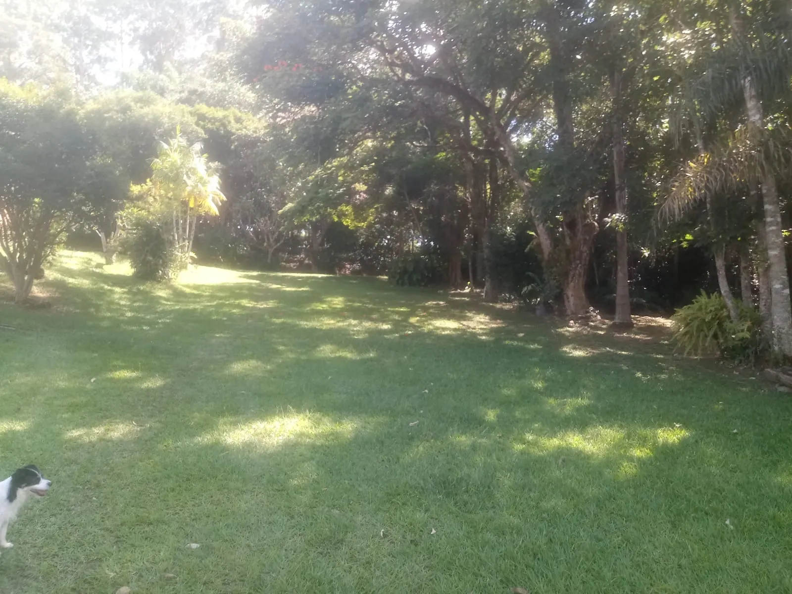 Sítio à venda de 8 ha em São José dos Campos, SP, Brasil
