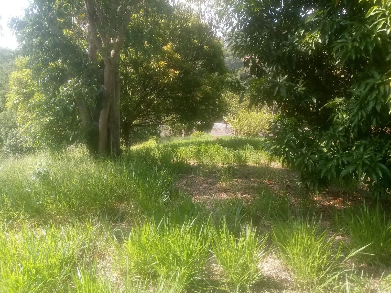 Sítio à venda de 8 ha em São José dos Campos, SP, Brasil