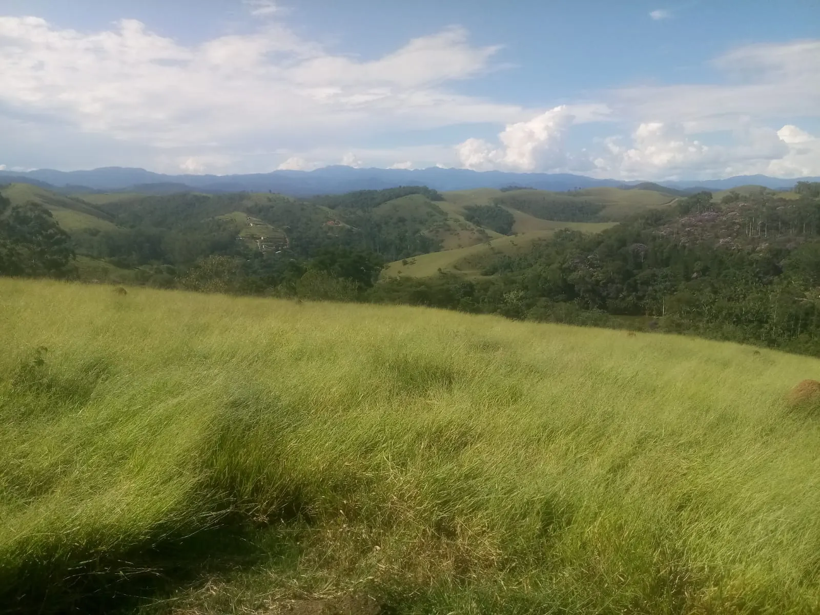Sítio à venda de 8 ha em São José dos Campos, SP, Brasil