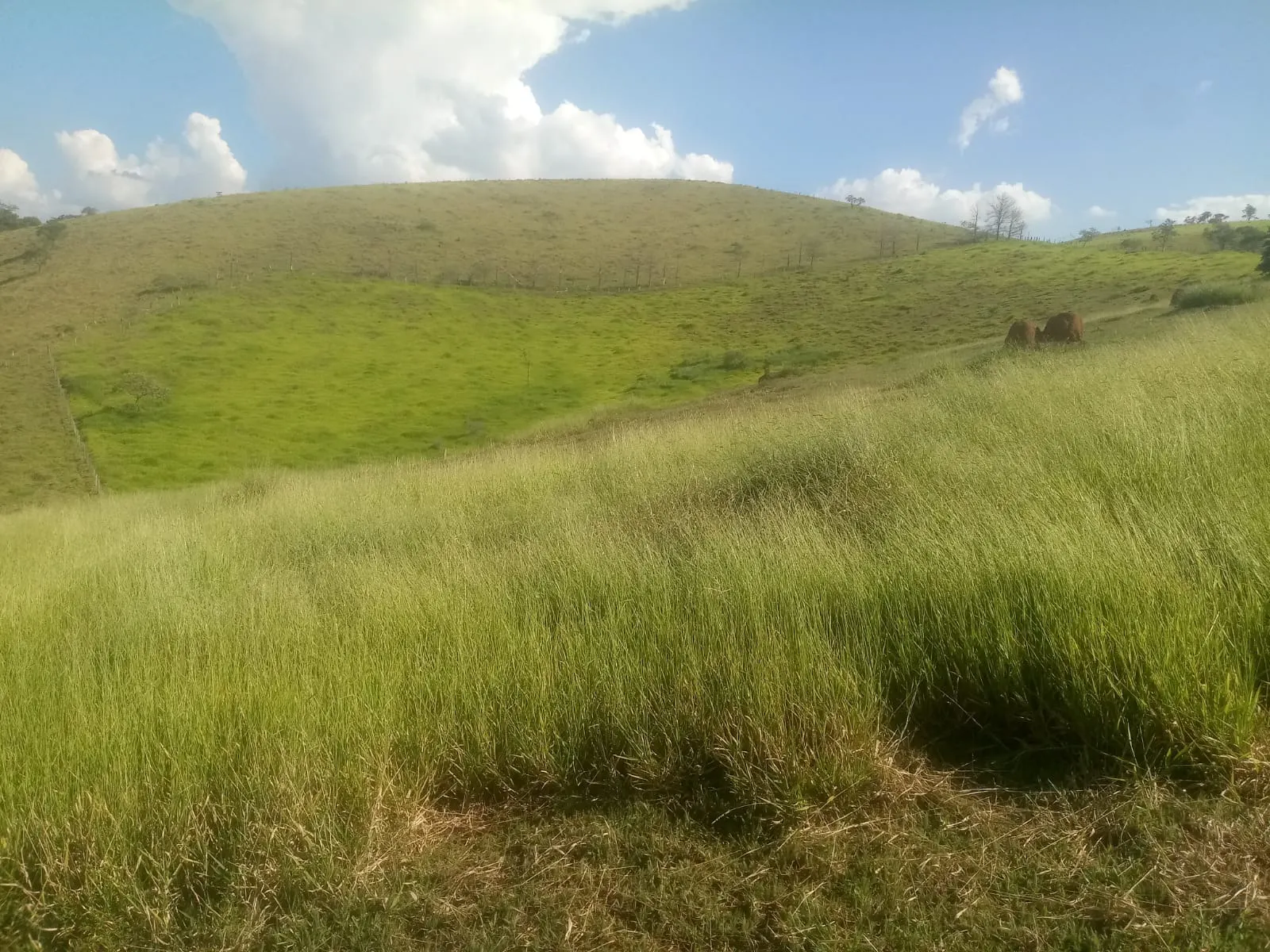 Sítio à venda de 8 ha em São José dos Campos, SP, Brasil