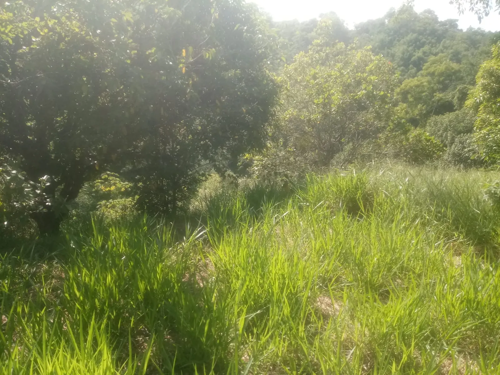 Sítio à venda de 8 ha em São José dos Campos, SP, Brasil