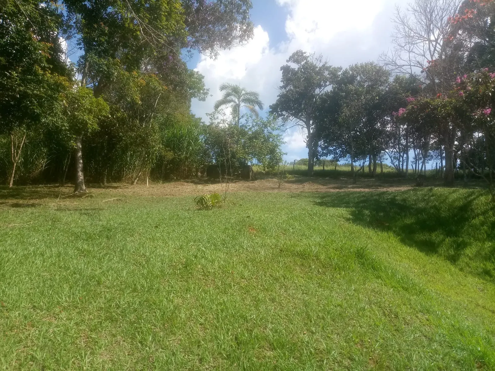 Sítio à venda de 8 ha em São José dos Campos, SP, Brasil