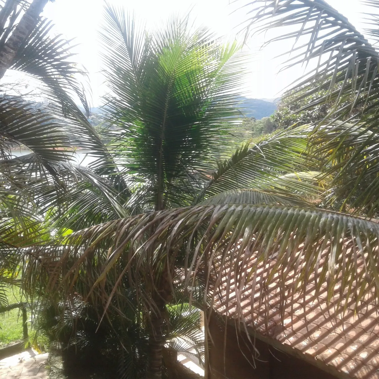 Chácara à venda de 2.100 m² em Jacareí, SP, Brasil