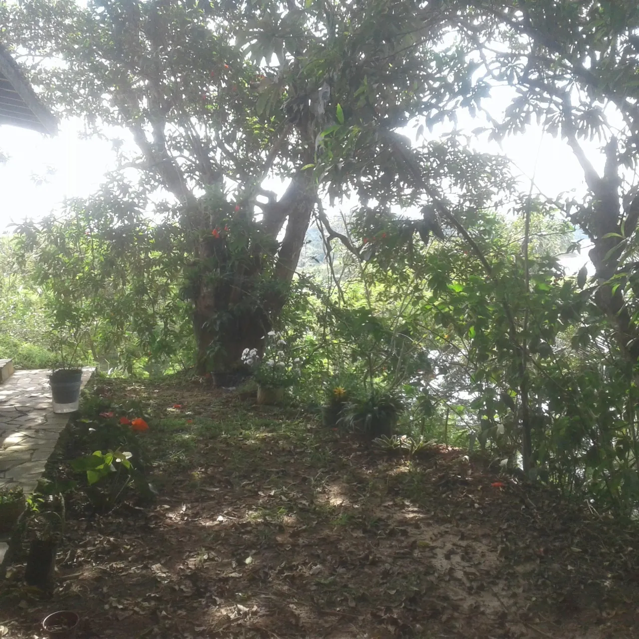 Chácara à venda de 2.100 m² em Jacareí, SP, Brasil