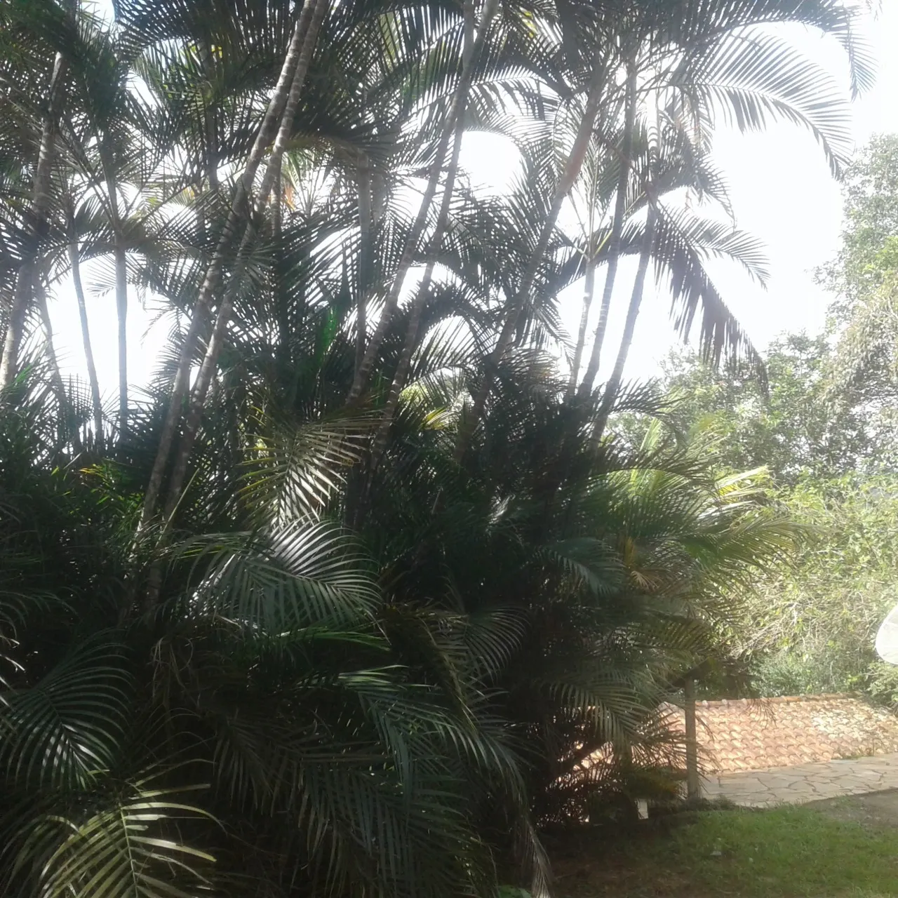 Chácara à venda de 2.100 m² em Jacareí, SP, Brasil