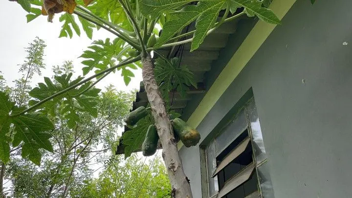 Chácara à venda de 1.900 m² em Santo Antônio da Patrulha, RS, Brasil