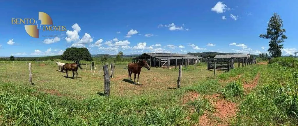 Fazenda à venda de 1.605 ha em Juscimeira, MT, Brasil