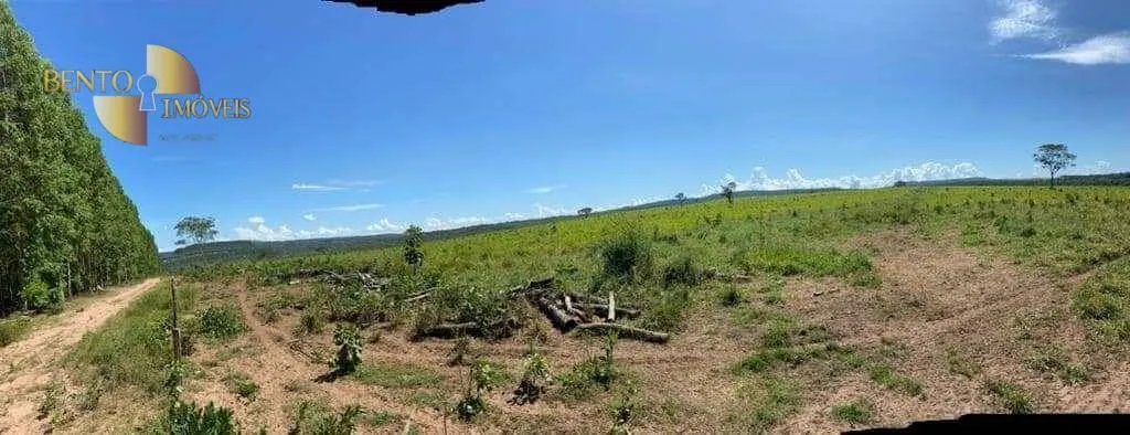 Fazenda à venda de 1.605 ha em Juscimeira, MT, Brasil
