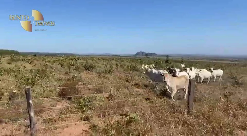 Fazenda à venda de 1.605 ha em Juscimeira, MT, Brasil