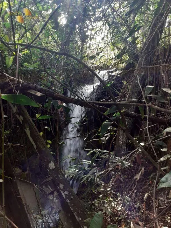 Fazenda à venda de 10.400 ha em Paranatinga, MT, Brasil