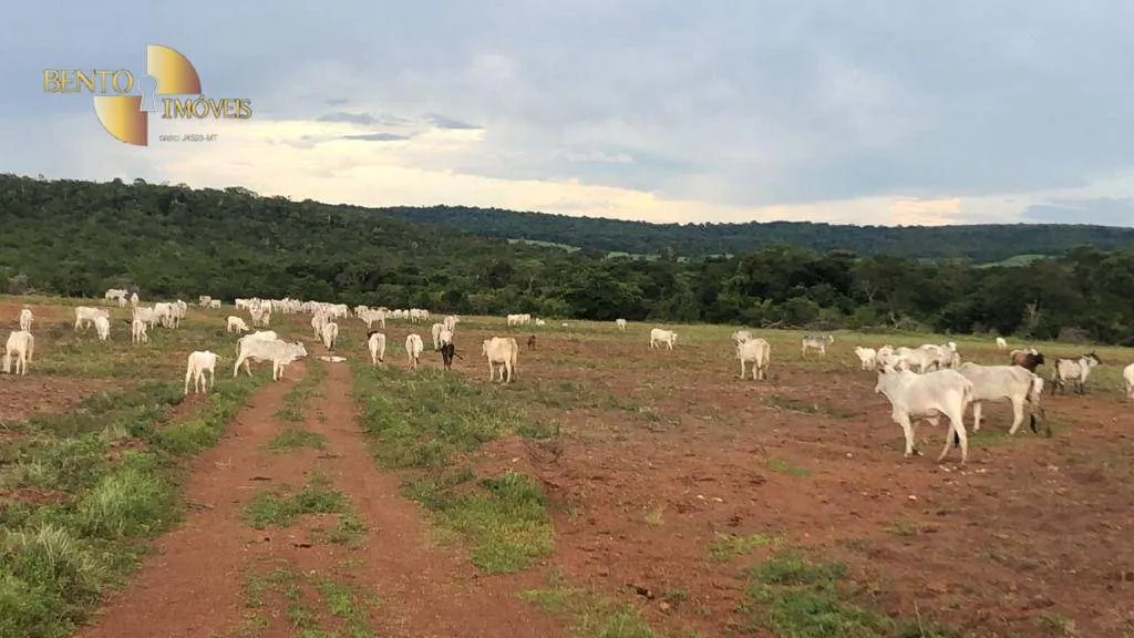 Fazenda à venda de 10.400 ha em Paranatinga, MT, Brasil