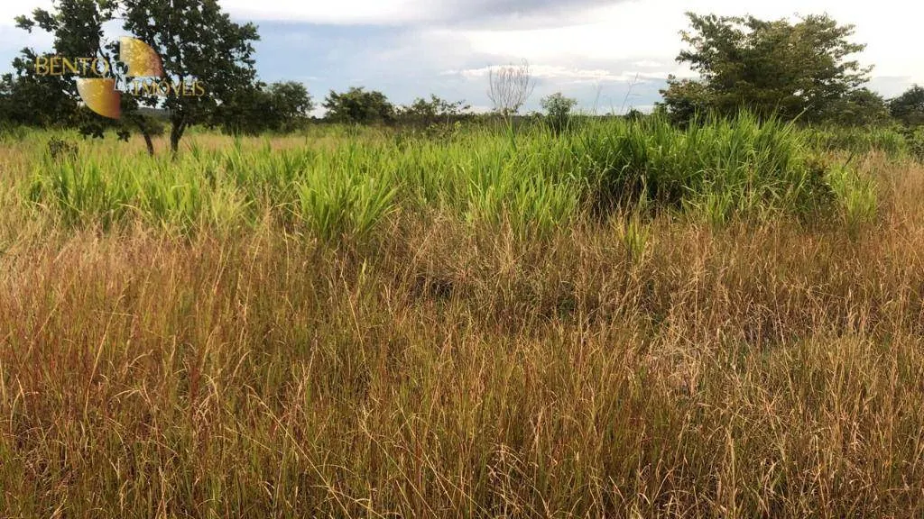 Fazenda à venda de 10.400 ha em Paranatinga, MT, Brasil
