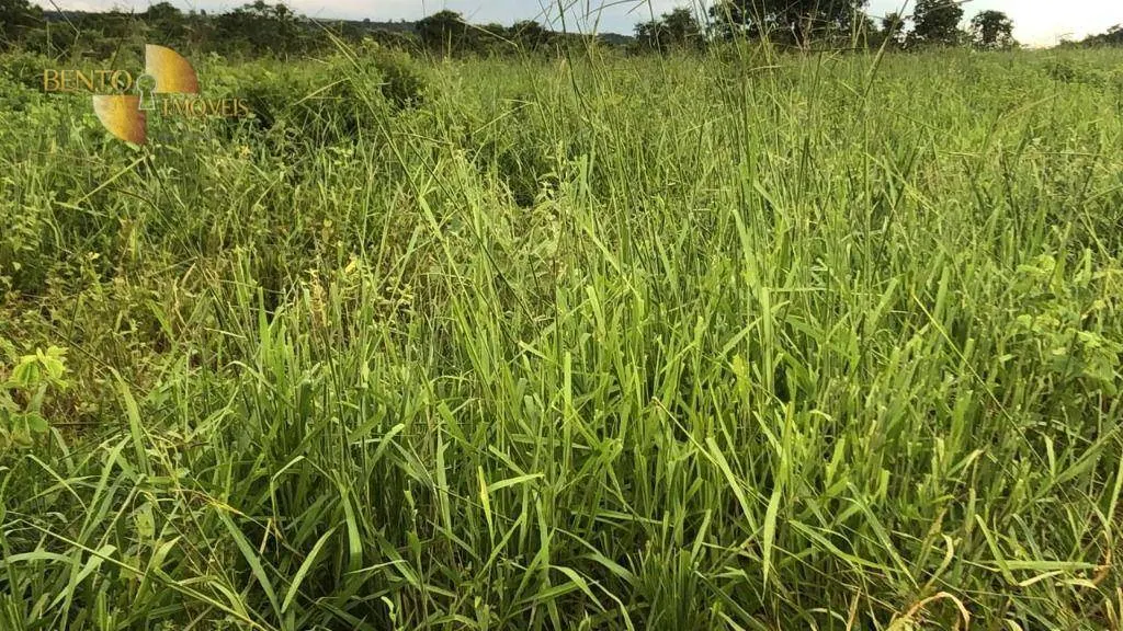 Fazenda à venda de 10.400 ha em Paranatinga, MT, Brasil