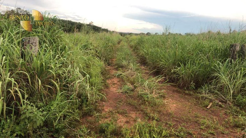 Fazenda à venda de 10.400 ha em Paranatinga, MT, Brasil