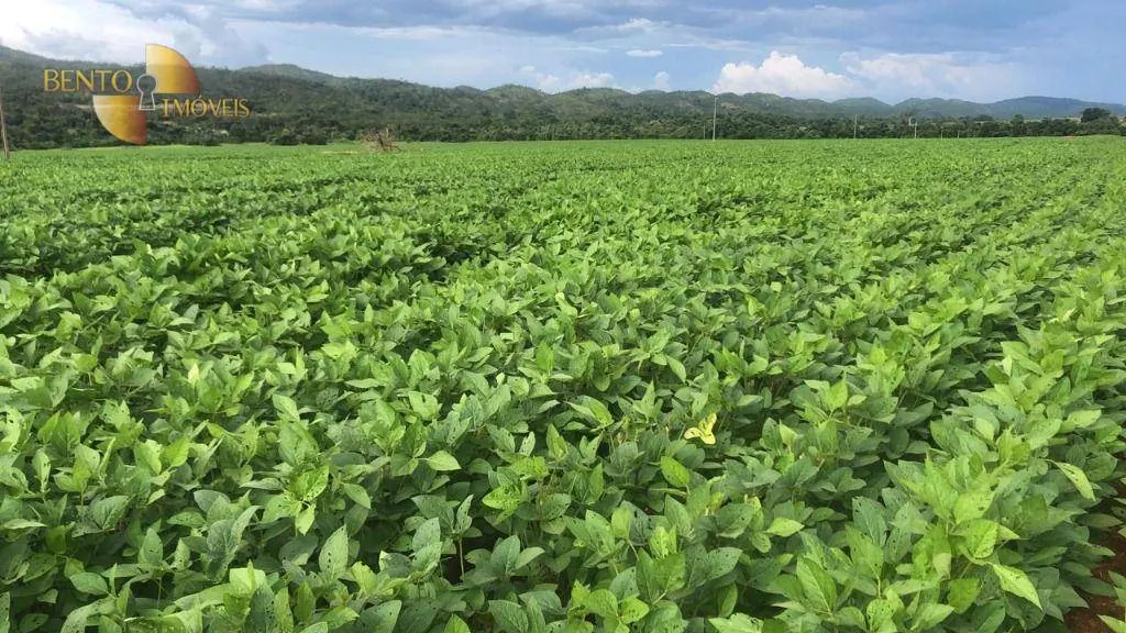 Fazenda à venda de 10.400 ha em Paranatinga, MT, Brasil