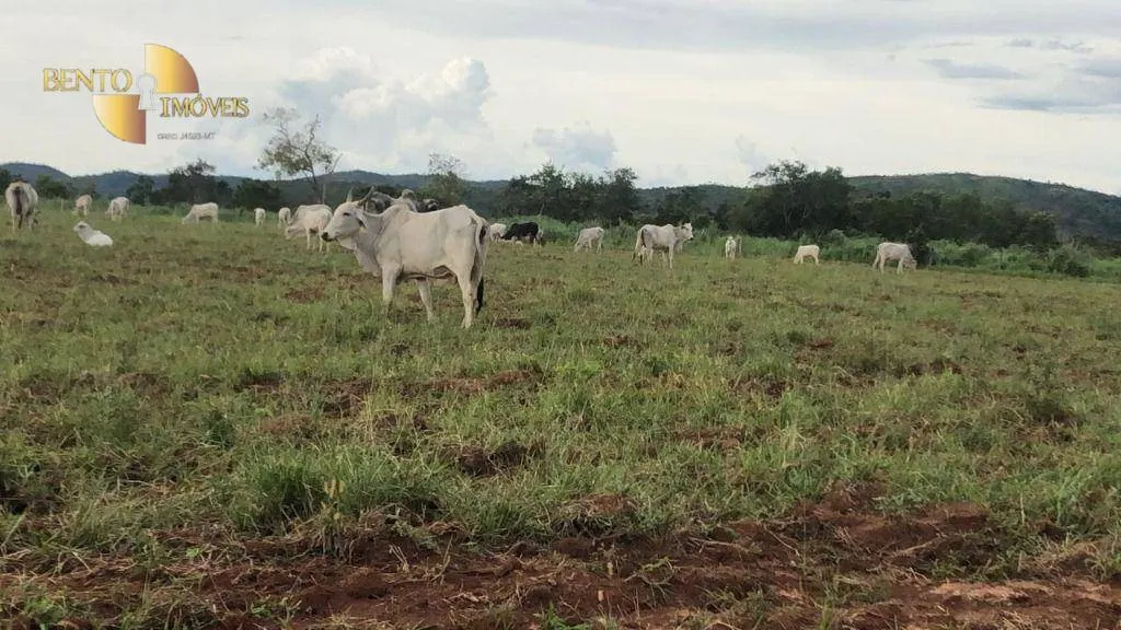 Fazenda à venda de 10.400 ha em Paranatinga, MT, Brasil