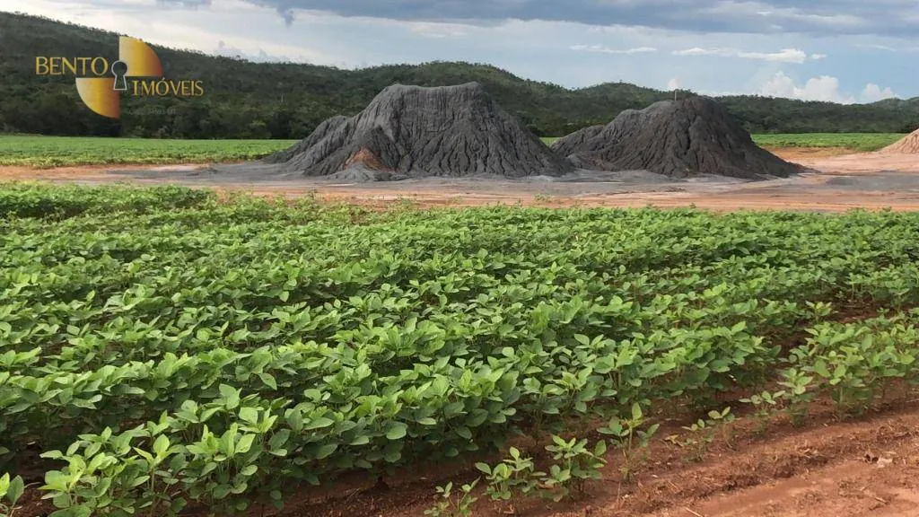 Fazenda à venda de 10.400 ha em Paranatinga, MT, Brasil