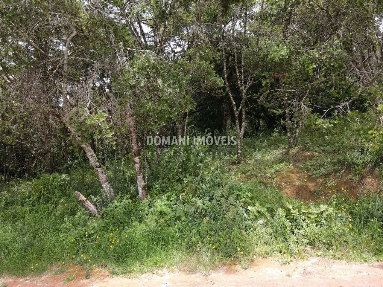 Plot for sale of 1,990 m² in Campos do Jordão, SP, Brazil