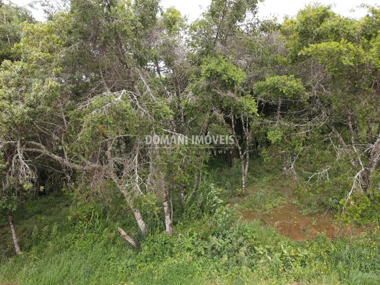 Plot for sale of 1,990 m² in Campos do Jordão, SP, Brazil